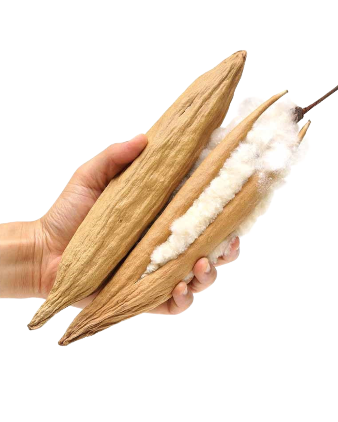 GB Side Pillow | Pink